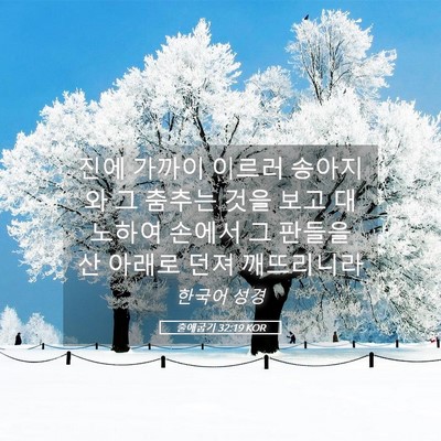 Picture 05 - 출애굽기 32:19 KOR - 진에 가까이 이르러 송아지와 그 - Bible Verse Picture