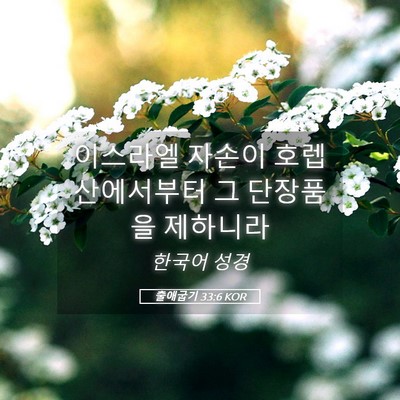 Picture 05 - 출애굽기 33:6 KOR - 이스라엘 자손이 호렙산에서부터 그 - Bible Verse Picture