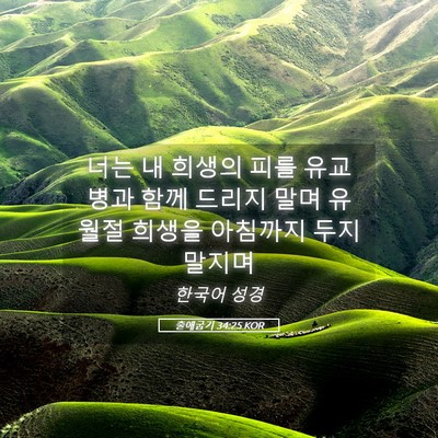 Picture 05 - 출애굽기 34:25 KOR - 너는 내 희생의 피를 유교병과 함께 - Bible Verse Picture