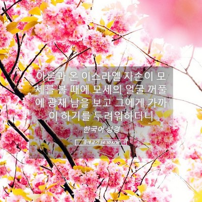 Picture 05 - 출애굽기 34:30 KOR - 아론과 온 이스라엘 자손이 모세를 - Bible Verse Picture