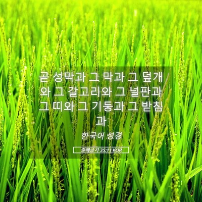 Picture 05 - 출애굽기 35:11 KOR - 곧 성막과 그 막과 그 덮개와 그 - Bible Verse Picture
