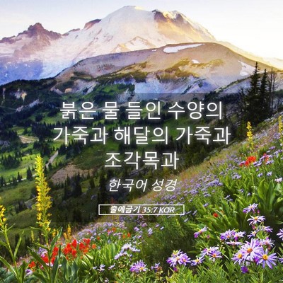 Picture 05 - 출애굽기 35:7 KOR - 붉은 물 들인 수양의 가죽과 해달의 - Bible Verse Picture