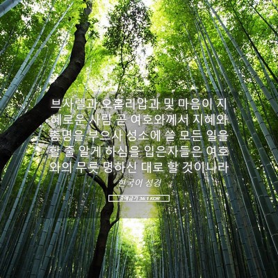 Picture 05 - 출애굽기 36:1 KOR - 브사렐과 오홀리압과 및 마음이 - Bible Verse Picture