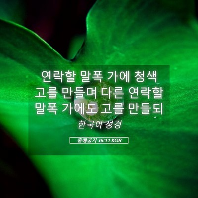 Picture 05 - 출애굽기 36:11 KOR - 연락할 말폭 가에 청색 고를 만들며 - Bible Verse Picture