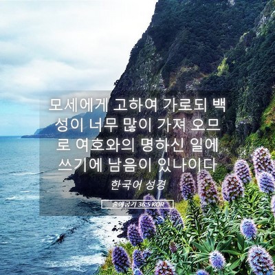 Picture 05 - 출애굽기 36:5 KOR - 모세에게 고하여 가로되 백성이 너무 - Bible Verse Picture
