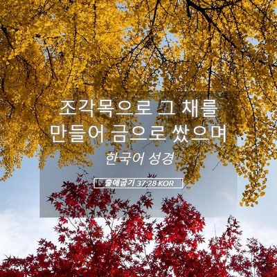 Picture 05 - 출애굽기 37:28 KOR - 조각목으로 그 채를 만들어 금으로 - Bible Verse Picture