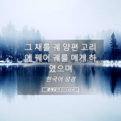 Picture 05 - 출애굽기 37:5 KOR - 그 채를 궤 양편 고리에 꿰어 궤를 - Bible Verse Picture