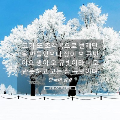 Picture 05 - 출애굽기 38:1 KOR - 그가 또 조각목으로 번제단을 - Bible Verse Picture