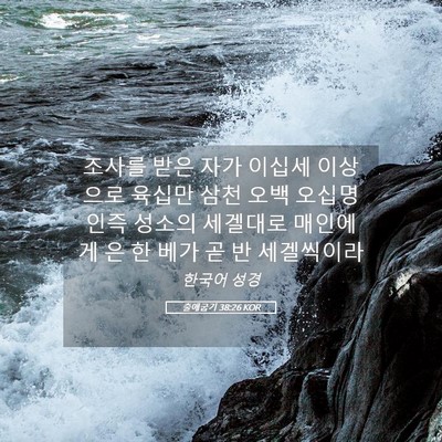 Picture 05 - 출애굽기 38:26 KOR - 조사를 받은 자가 이십세 이상으로 - Bible Verse Picture