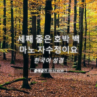 Picture 05 - 출애굽기 39:12 KOR - 세째 줄은 호박 백마노 - Bible Verse Picture