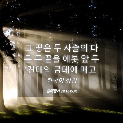 Picture 05 - 출애굽기 39:18 KOR - 그 땋은 두 사슬의 다른 두 끝을 에봇 - Bible Verse Picture