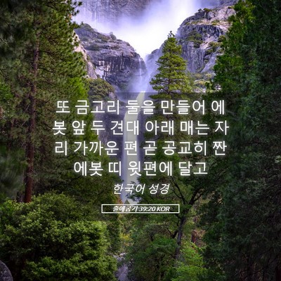 Picture 05 - 출애굽기 39:20 KOR - 또 금고리 둘을 만들어 에봇 앞 두 - Bible Verse Picture