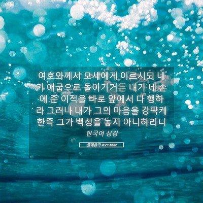 Picture 05 - 출애굽기 4:21 KOR - 여호와께서 모세에게 이르시되 네가 - Bible Verse Picture