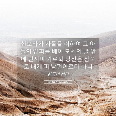 Picture 05 - 출애굽기 4:25 KOR - 십보라가 차돌을 취하여 그 아들의 - Bible Verse Picture