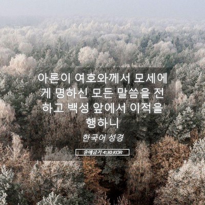 Picture 05 - 출애굽기 4:30 KOR - 아론이 여호와께서 모세에게 명하신 - Bible Verse Picture