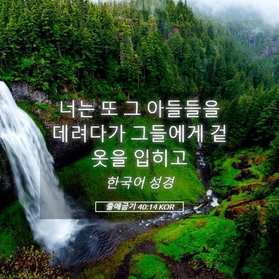 Picture 05 - 출애굽기 40:14 KOR - 너는 또 그 아들들을 데려다가 - Bible Verse Picture
