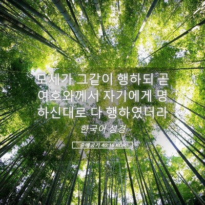 Picture 05 - 출애굽기 40:16 KOR - 모세가 그같이 행하되 곧 여호와께서 - Bible Verse Picture