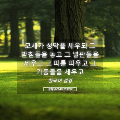 Picture 05 - 출애굽기 40:18 KOR - 모세가 성막을 세우되 그 받침들을 - Bible Verse Picture
