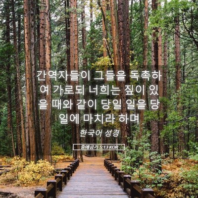 Picture 05 - 출애굽기 5:13 KOR - 간역자들이 그들을 독촉하여 가로되 - Bible Verse Picture