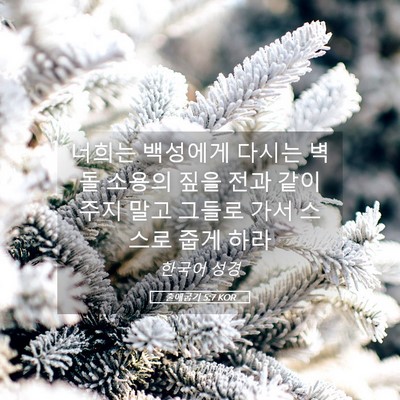 Picture 05 - 출애굽기 5:7 KOR - 너희는 백성에게 다시는 벽돌 소용의 - Bible Verse Picture