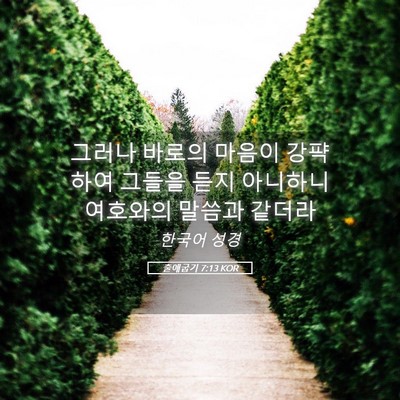 Picture 05 - 출애굽기 7:13 KOR - 그러나 바로의 마음이 강퍅하여 - Bible Verse Picture