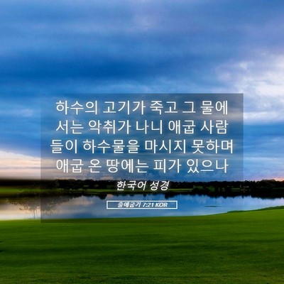 Picture 05 - 출애굽기 7:21 KOR - 하수의 고기가 죽고 그 물에서는 - Bible Verse Picture