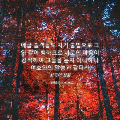 Picture 05 - 출애굽기 7:22 KOR - 애굽 술객들도 자기 술법으로 그와 - Bible Verse Picture
