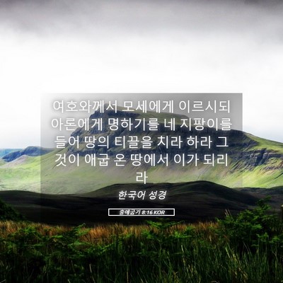 Picture 05 - 출애굽기 8:16 KOR - 여호와께서 모세에게 이르시되 - Bible Verse Picture