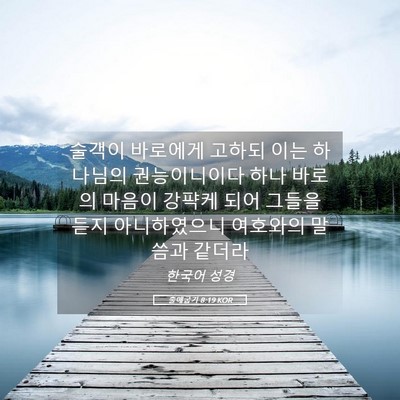 Picture 05 - 출애굽기 8:19 KOR - 술객이 바로에게 고하되 이는 - Bible Verse Picture