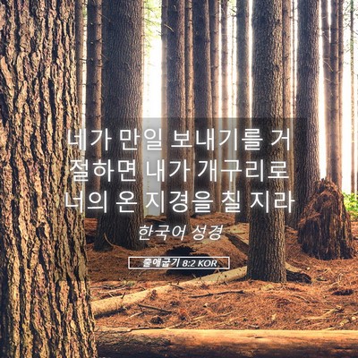 Picture 05 - 출애굽기 8:2 KOR - 네가 만일 보내기를 거절하면 내가 - Bible Verse Picture