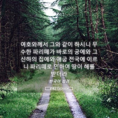 Picture 05 - 출애굽기 8:24 KOR - 여호와께서 그와 같이 하시니 무수한 - Bible Verse Picture