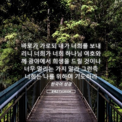 Picture 05 - 출애굽기 8:28 KOR - 바로가 가로되 내가 너희를 보내리니 - Bible Verse Picture