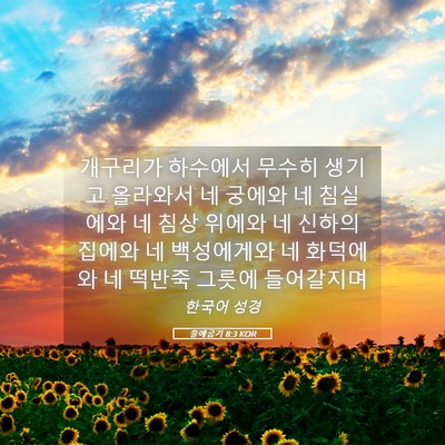 Picture 05 - 출애굽기 8:3 KOR - 개구리가 하수에서 무수히 생기고 - Bible Verse Picture