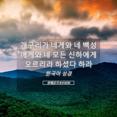 Picture 05 - 출애굽기 8:4 KOR - 개구리가 네게와 네 백성에게와 네 - Bible Verse Picture