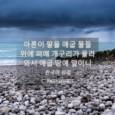 Picture 05 - 출애굽기 8:6 KOR - 아론이 팔을 애굽 물들 위에 펴매 - Bible Verse Picture