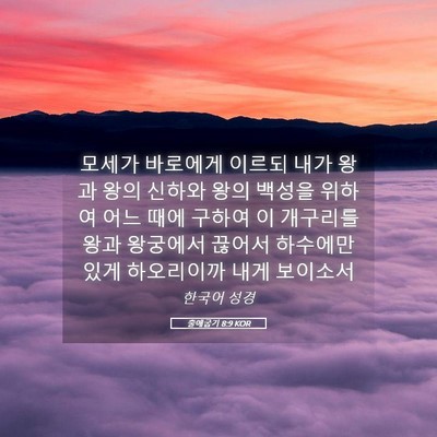 Picture 05 - 출애굽기 8:9 KOR - 모세가 바로에게 이르되 내가 왕과 - Bible Verse Picture