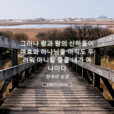 Picture 05 - 출애굽기 9:30 KOR - 그러나 왕과 왕의 신하들이 여호와 - Bible Verse Picture