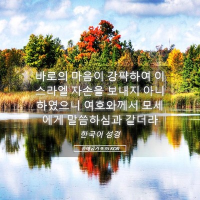 Picture 05 - 출애굽기 9:35 KOR - 바로의 마음이 강퍅하여 이스라엘 - Bible Verse Picture