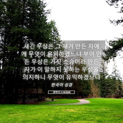 Picture 05 - 하박국 2:18 KOR - 새긴 우상은 그 새겨 만든 자에게 - Bible Verse Picture
