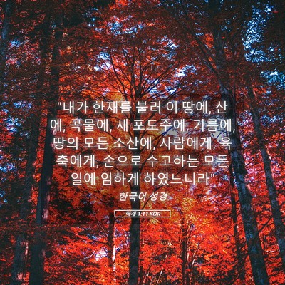 Picture 05 - 학개 1:11 KOR - 