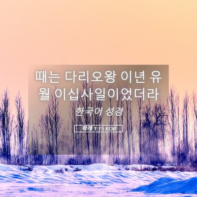 Picture 05 - 학개 1:15 KOR - 때는 다리오왕 이년 유월 - Bible Verse Picture
