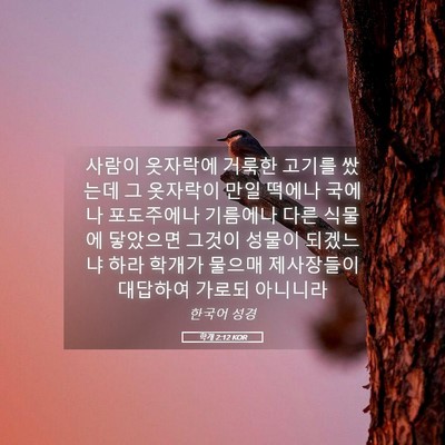 Picture 05 - 학개 2:12 KOR - 사람이 옷자락에 거룩한 고기를 - Bible Verse Picture