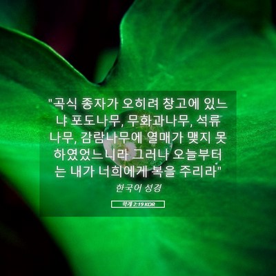 Picture 05 - 학개 2:19 KOR - 