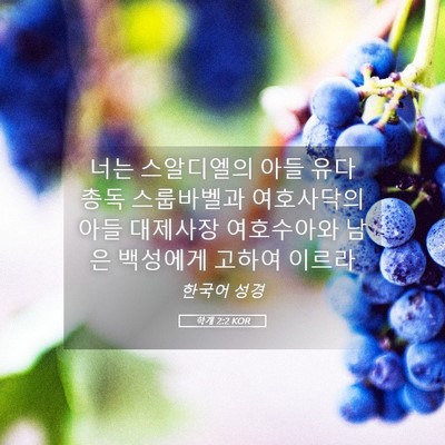 Picture 05 - 학개 2:2 KOR - 너는 스알디엘의 아들 유다 총독 - Bible Verse Picture