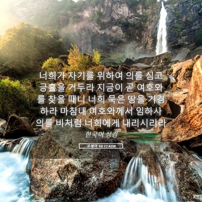 Picture 05 - 호세아 10:12 KOR - 너희가 자기를 위하여 의를 심고 - Bible Verse Picture