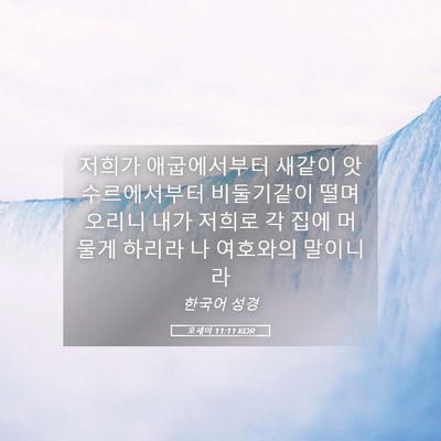 Picture 05 - 호세아 11:11 KOR - 저희가 애굽에서부터 새같이 - Bible Verse Picture