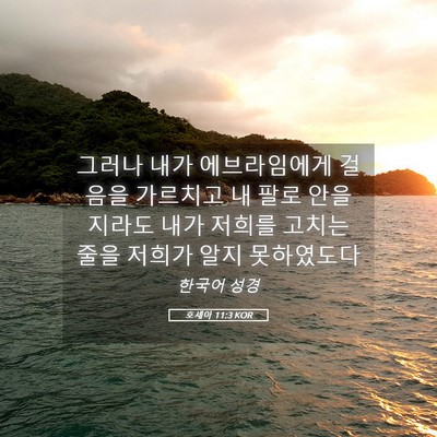 Picture 05 - 호세아 11:3 KOR - 그러나 내가 에브라임에게 걸음을 - Bible Verse Picture