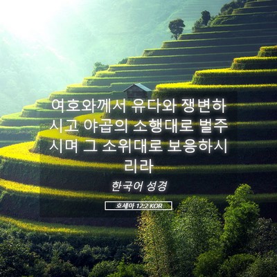 Picture 05 - 호세아 12:2 KOR - 여호와께서 유다와 쟁변하시고 - Bible Verse Picture