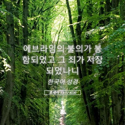 Picture 05 - 호세아 13:12 KOR - 에브라임의 불의가 봉함되었고 그 - Bible Verse Picture