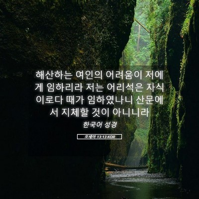 Picture 05 - 호세아 13:13 KOR - 해산하는 여인의 어려움이 저에게 - Bible Verse Picture